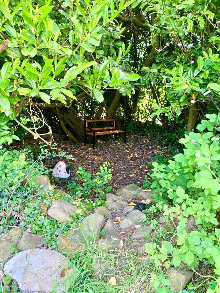 Quiet Farm Cottage Enniskillen Fermanagh מראה חיצוני תמונה